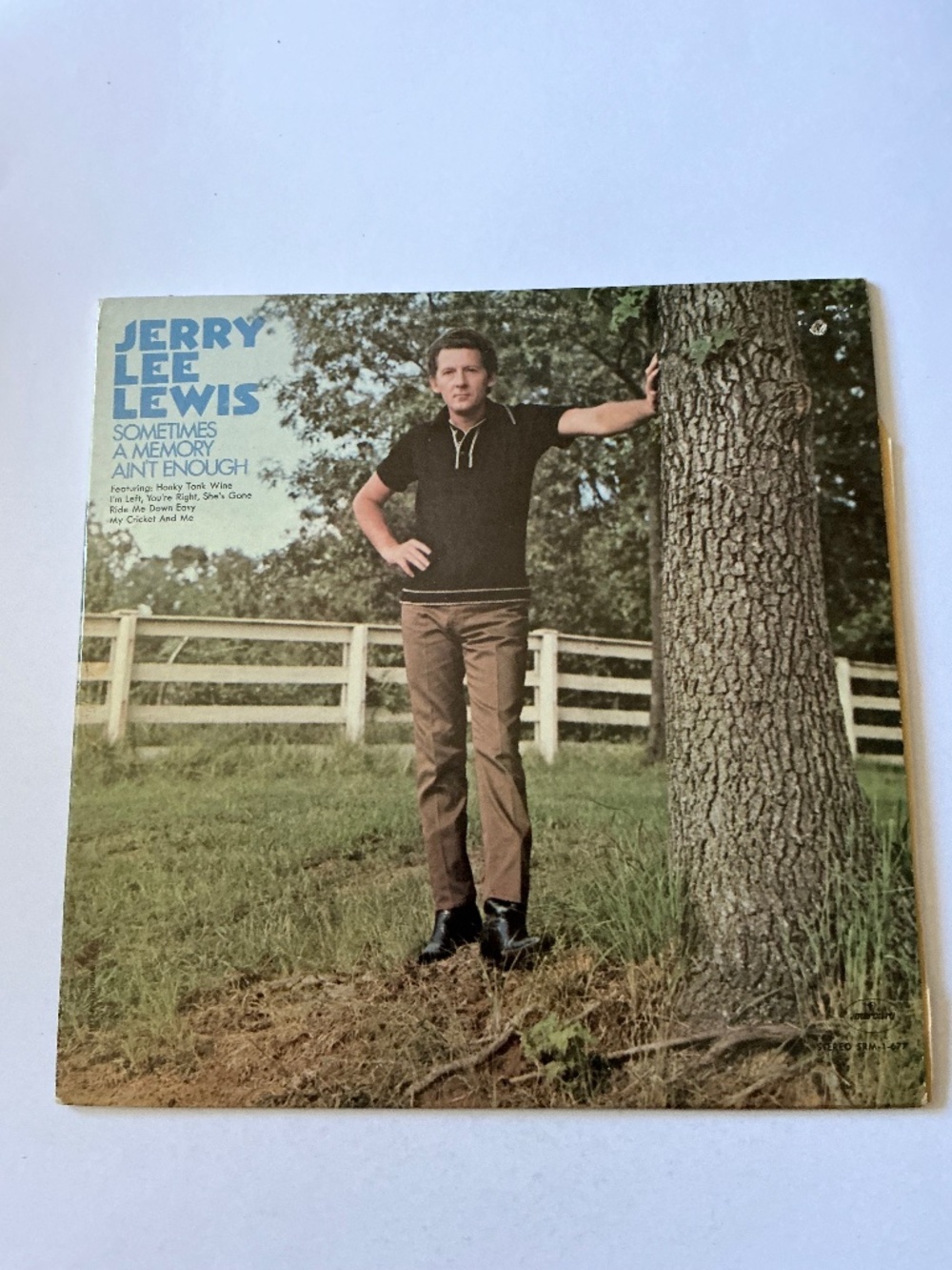 Jerry Lee Lewis Vinyl Sometimes A Memory Ain’t Enough Mercury Records 1973